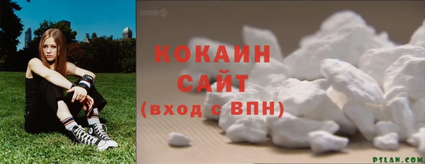 крисы Богородск