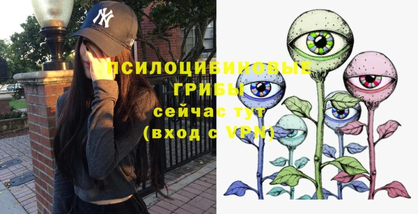 крисы Богородск