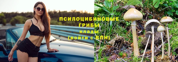 крисы Богородск