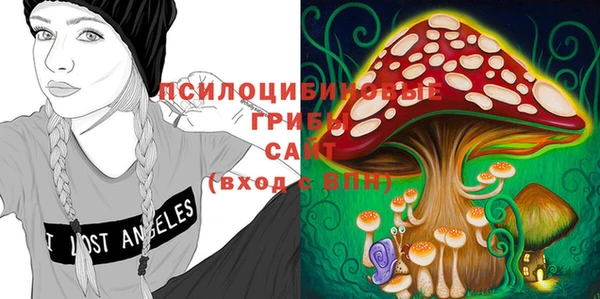 мяу мяу мука Богданович