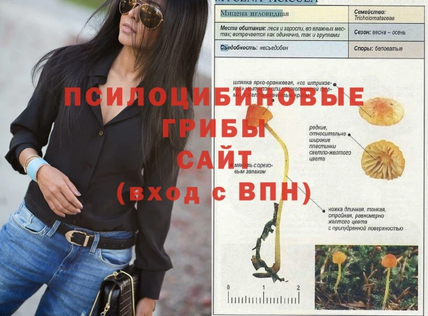 крисы Богородск
