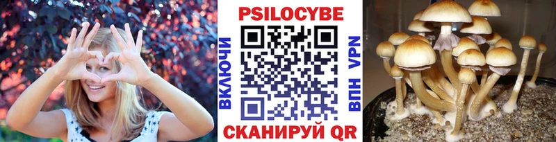 купить наркотики сайты  Светлый  Галлюциногенные грибы мухоморы 